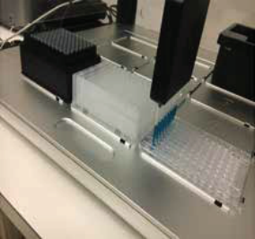 OT-2從96英寸底部瀝青的8個(gè)雙色染料樣品中盜版100μL