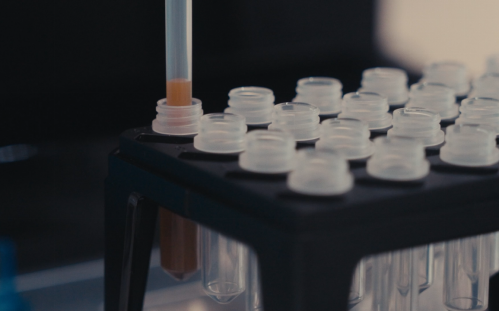 代謝組學(xué)測序方法:探索生物代謝的奧秘